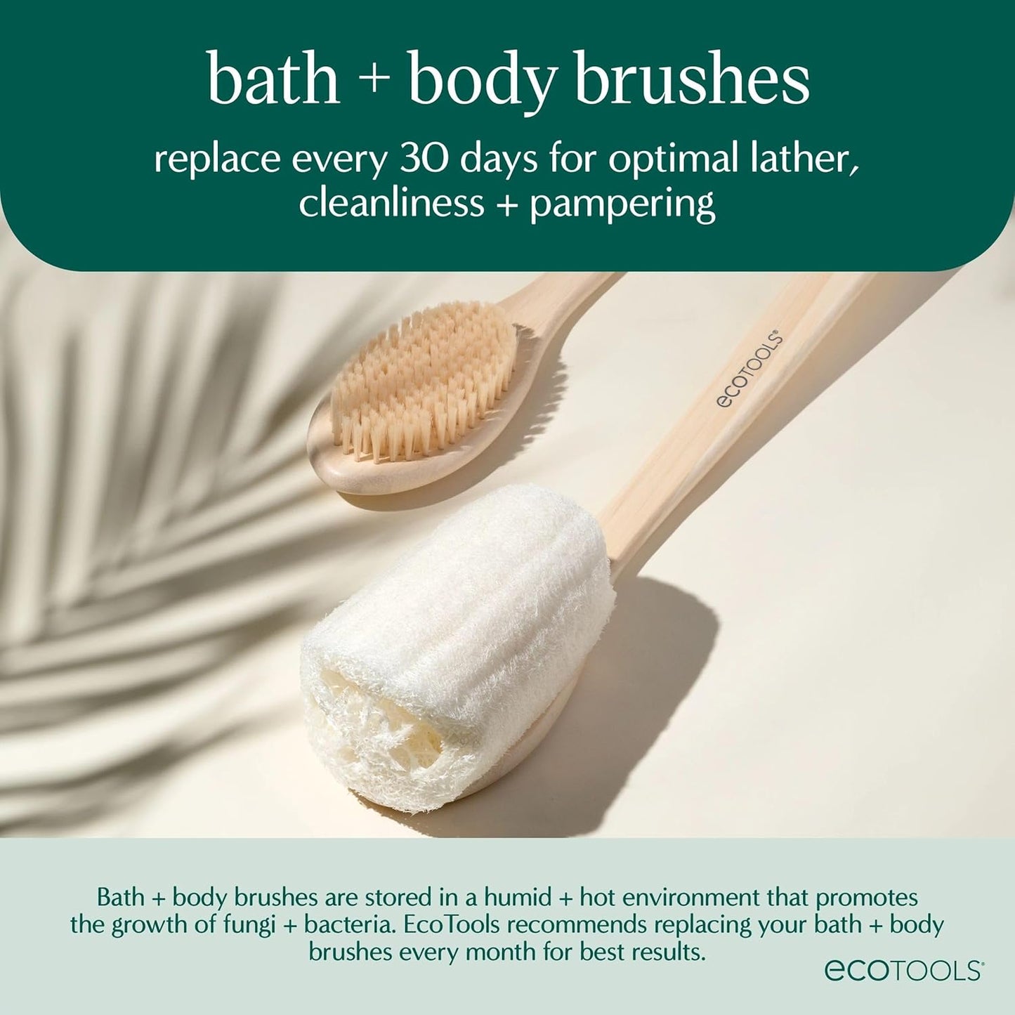 Dry Body Brush, Cruelty-Free Bristles Exfoliate & Smooth Skin, Dry Brushing Removes Dry Skin, May Help Improve Circulation & Skin Tone, Eco-Friendly Skincare Tool, Vegan, 1 Count